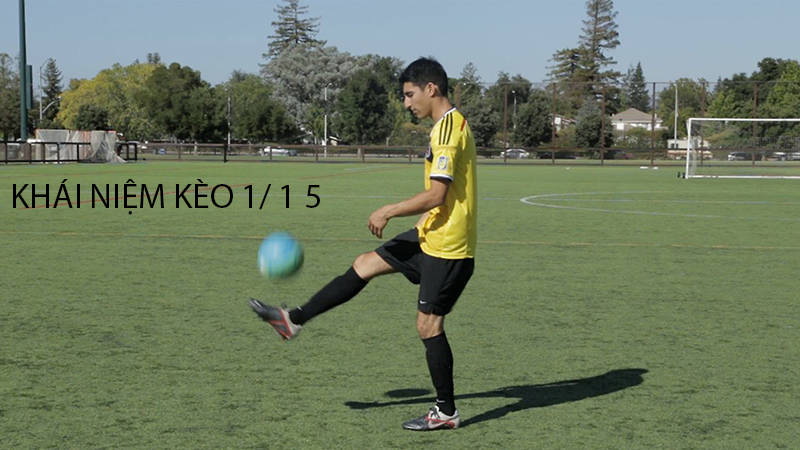 Khái niệm kèo 1/1.5