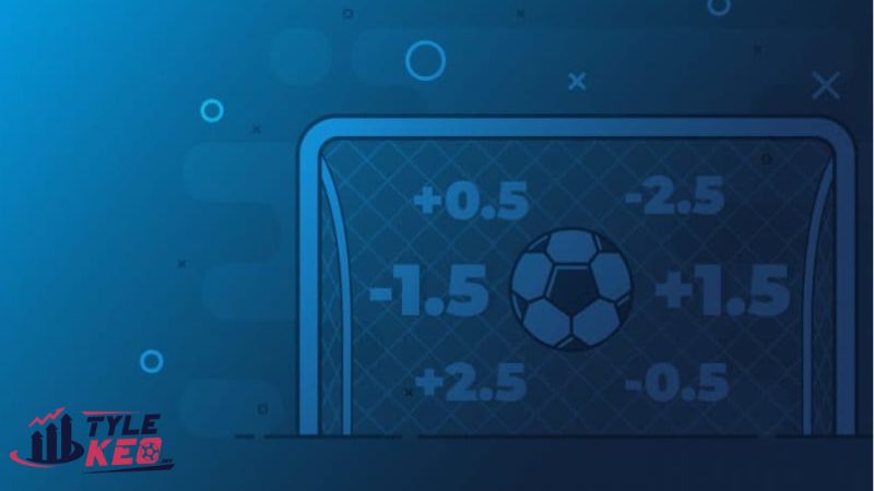 Cách xem Odds Và Fix của nhà cái chuẩn xác 3 luu y khi xem odds va fix